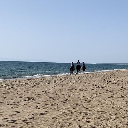 White Villas Douneika  المظهر الخارجي الصورة