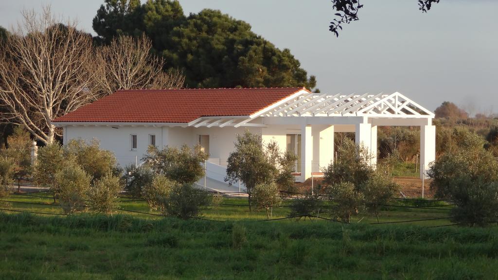 White Villas Douneika  المظهر الخارجي الصورة