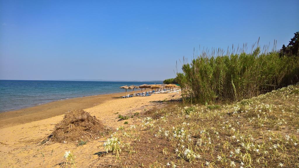 White Villas Douneika  المظهر الخارجي الصورة
